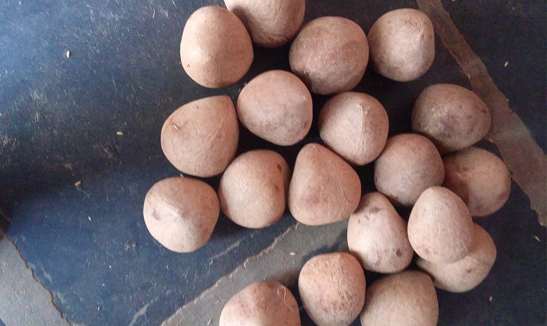 Dehydrated Coconut