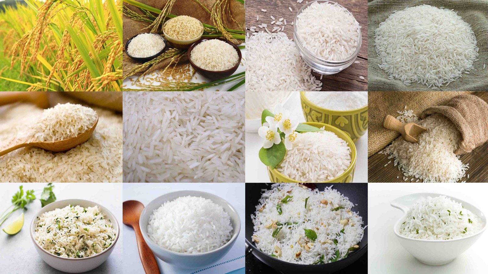 Noor Enterprises | Rice Traders